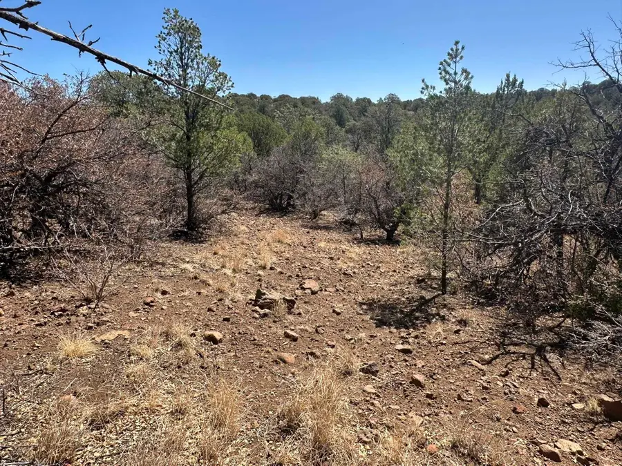 1XX Hideaway Trail, Silver City, NM 88061 - Image #2