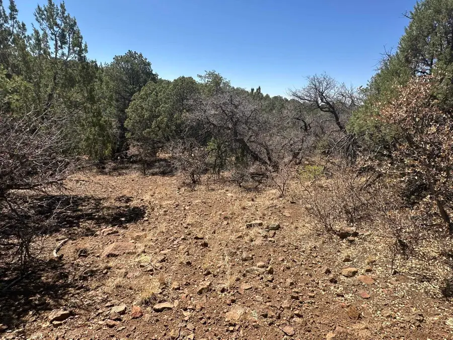 1XX Hideaway Trail, Silver City, NM 88061 - Image #3