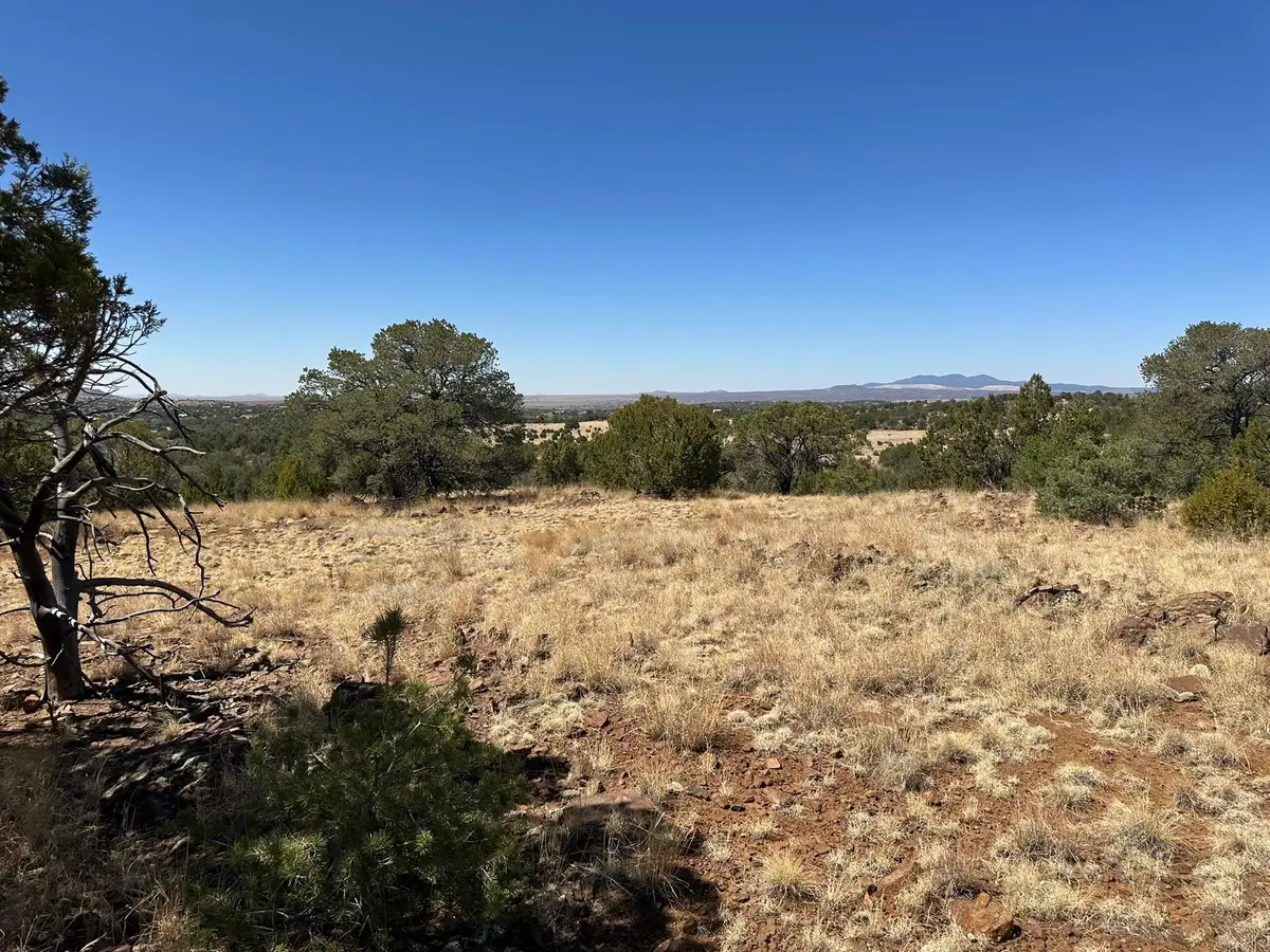 12X Hideaway Trail, Silver City, NM 88061 - Image #1