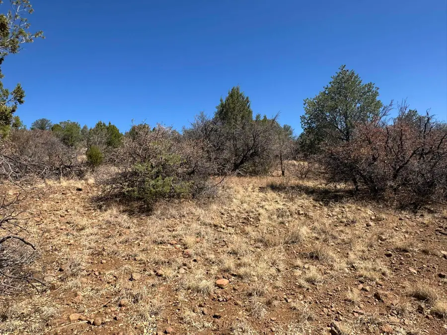 12X Hideaway Trail, Silver City, NM 88061 - Image #3