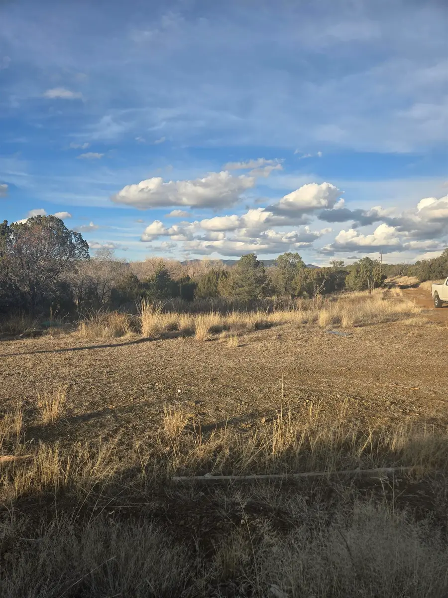 16 Madison, Arenas Valley, NM 88022 - Image #2