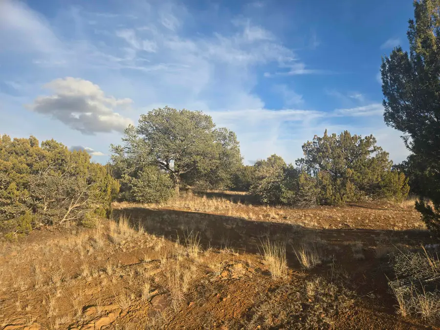 16 Madison, Arenas Valley, NM 88022 - Image #3