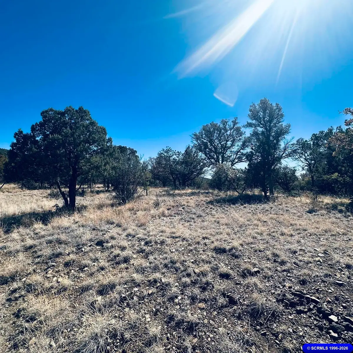 9 Vesuvius, Silver City, NM 88061 - #1