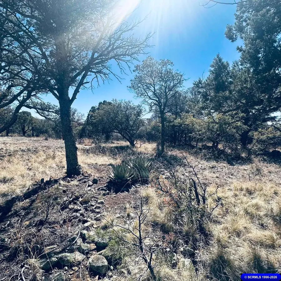 9 Vesuvius, Silver City, NM 88061 - #2