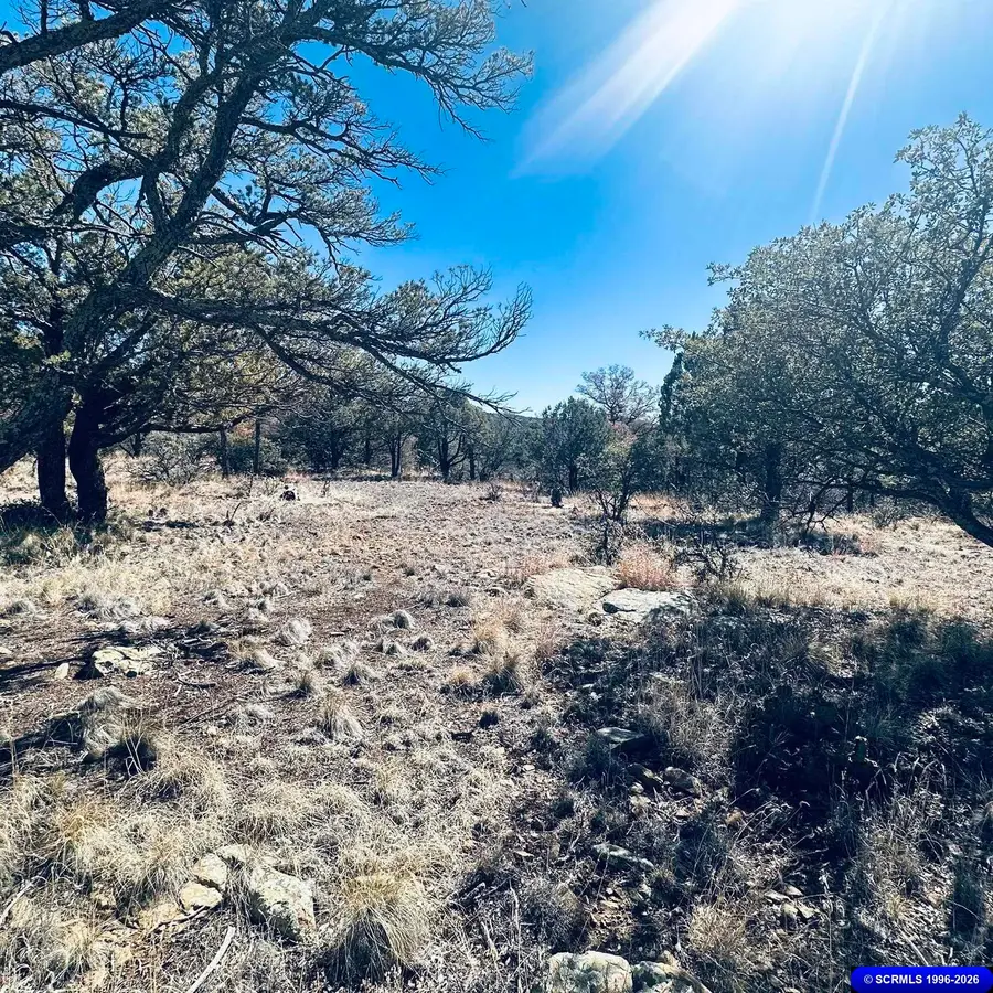 9 Vesuvius, Silver City, NM 88061 - #3