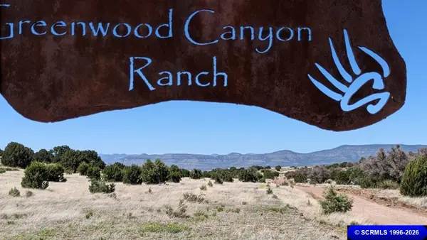 3XX Old Telegraph Ridge Road, Silver City, NM 88061