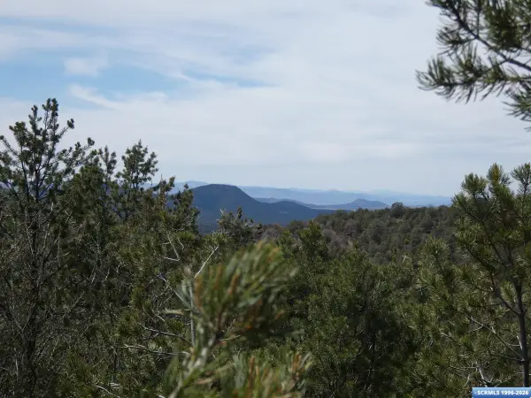 ## Radio Tower Road, Pinos Altos, NM 88053