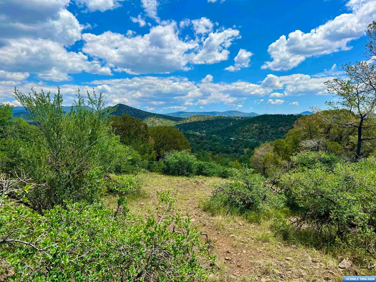 2XX Xyz Ranch Road, Silver City, NM 88061 - #1