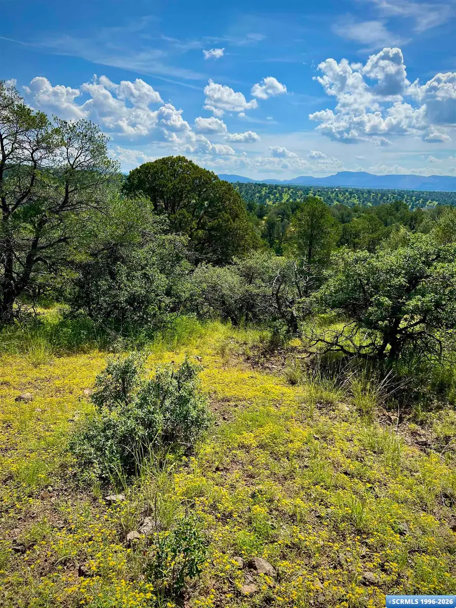 2XX Xyz Ranch Road, Silver City, NM 88061 - #2
