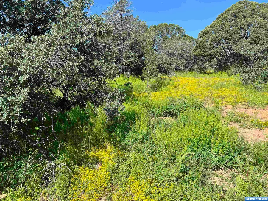 2XX Xyz Ranch Road, Silver City, NM 88061 - #3