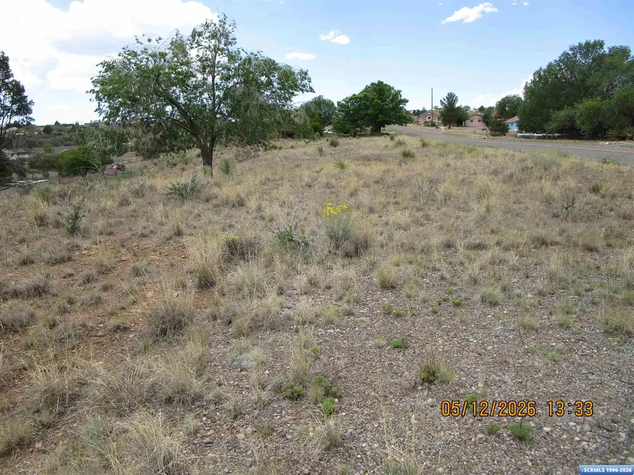 731 Spear Drive, Silver City, NM 88061 - #3