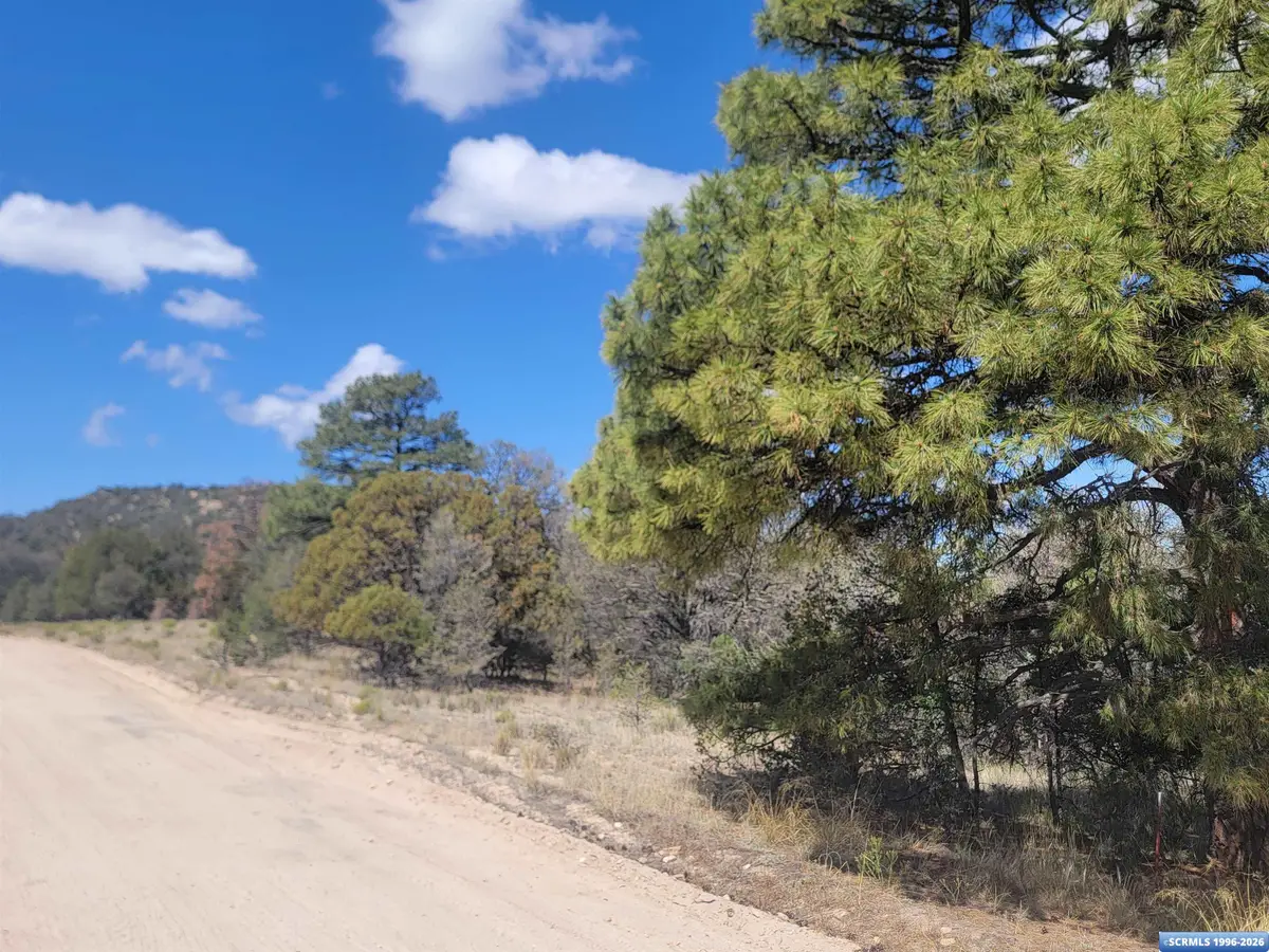 XX Tyrone Thompson Road, Silver City, NM 88061 - #1