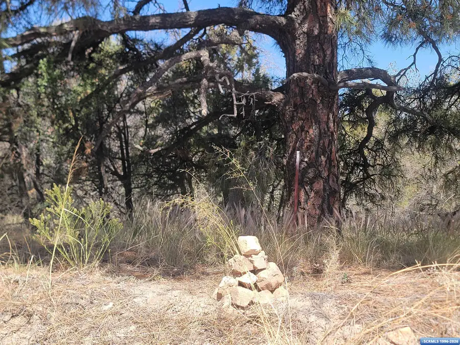 XX Tyrone Thompson Road, Silver City, NM 88061 - #2