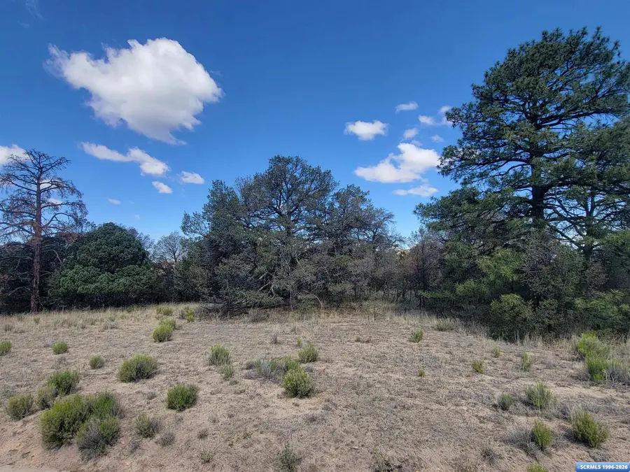 XX Tyrone Thompson Road, Silver City, NM 88061 - #3