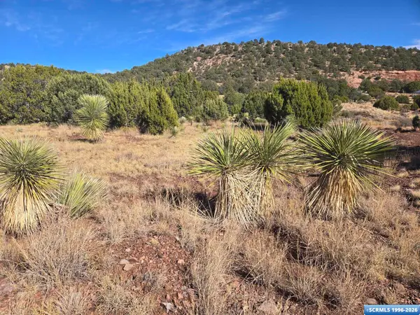20 Dewey Avenue, Silver City, NM 88061