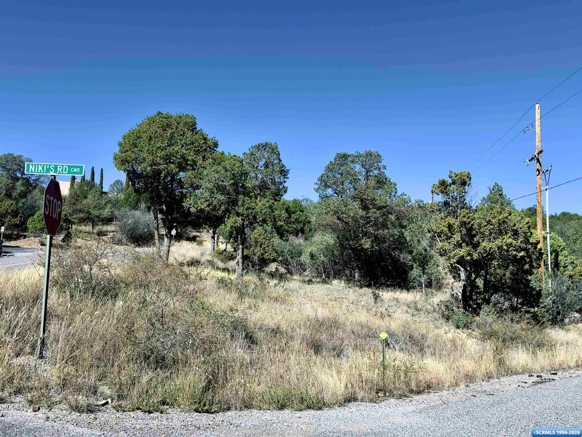 XX NE Swan, Silver City, NM 88061 - #1