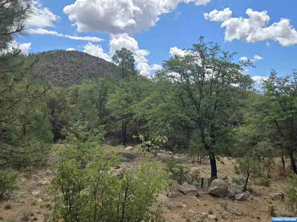 XX Boulder Tr., Pinos Altos, NM 88053