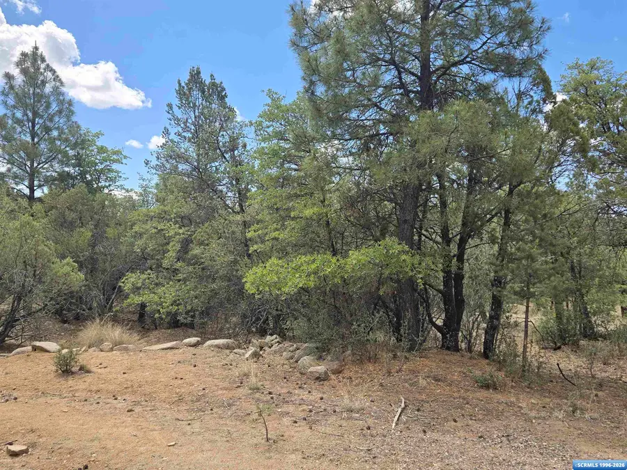 XX Boulder Tr., Pinos Altos, NM 88053 - #3