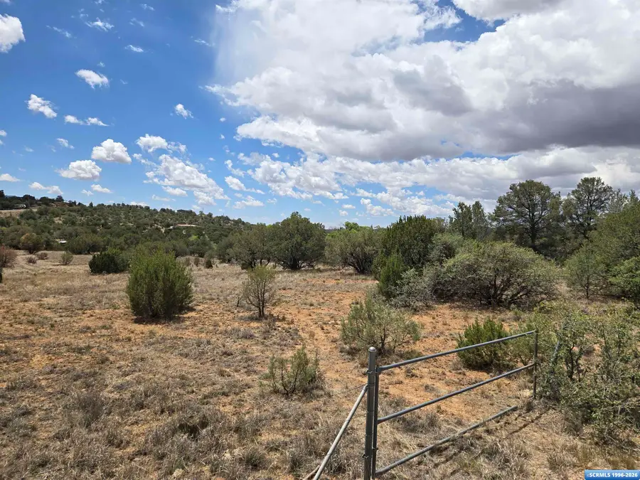 37 Round Mountain, Silver City, NM 88061 - #3