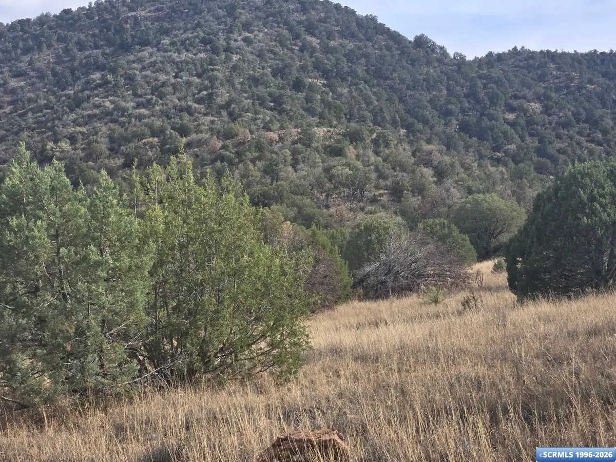 xx Poncho Road, Mimbres, NM 88061 - #1