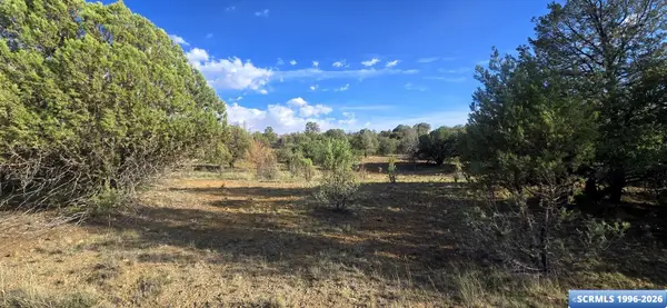 4533 Arrowhead Road, Silver City, NM 88061-0000