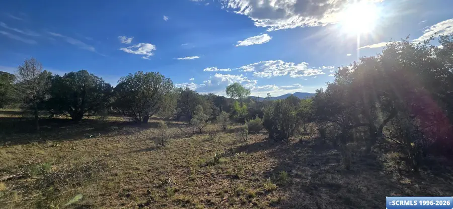 4533 Arrowhead Road, Silver City, NM 88061-0000 - #3