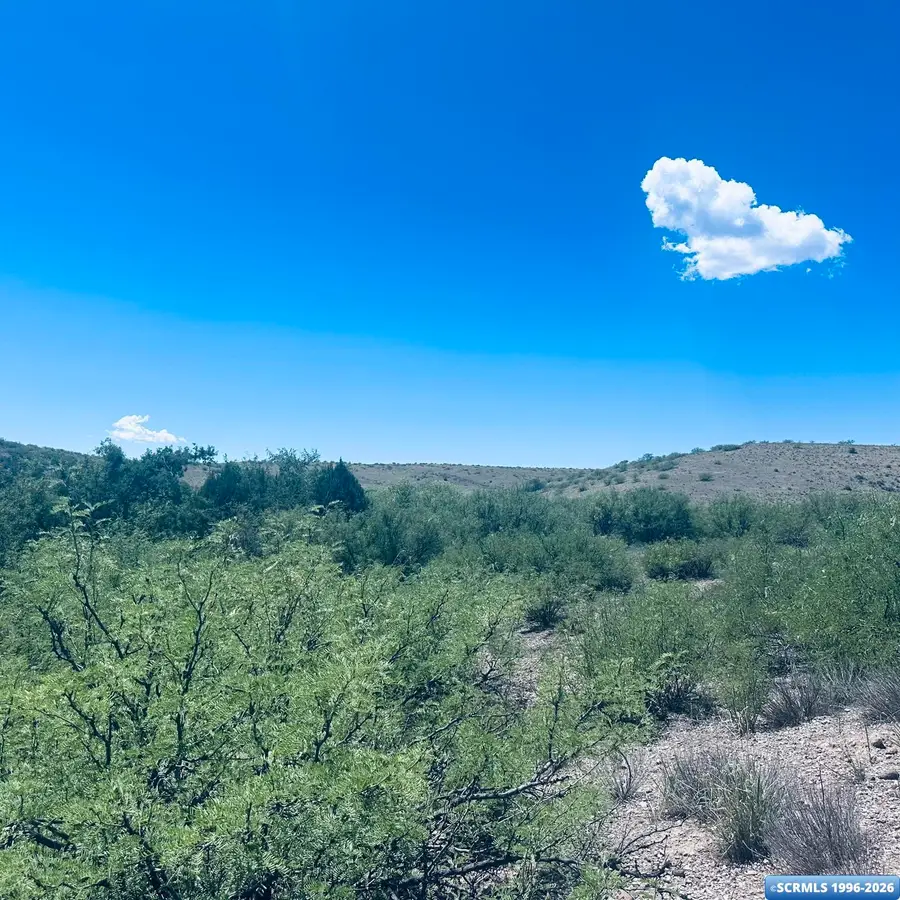 Lot 17 Mogollon Vista Estates, Cliff, NM 88038 - #3