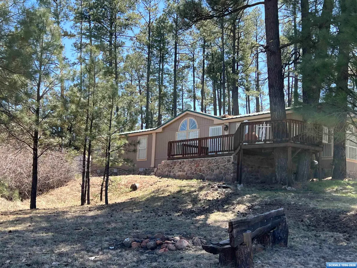 3917 Hwy 35, Mimbres, NM 88049 - #1