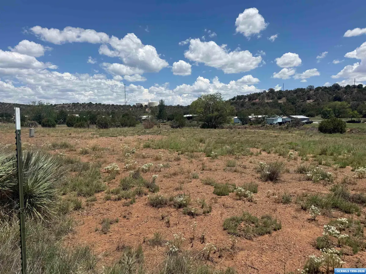 Tiger Lode, Silver City, NM 88061 - #1