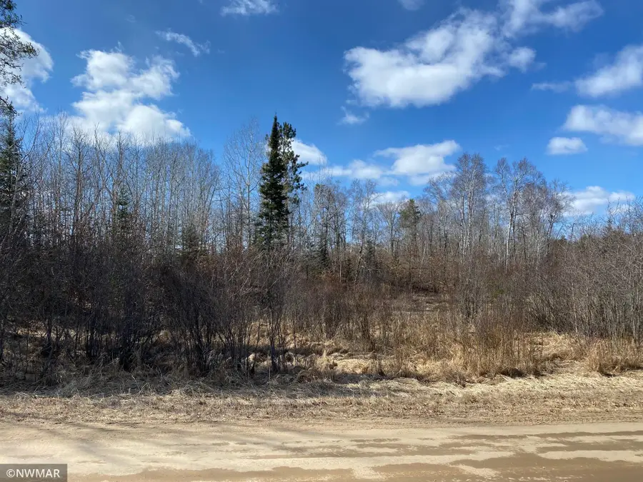 TBD (L11,B2) Grant Hills Road Sw, Bemidji, MN 56601 - #3