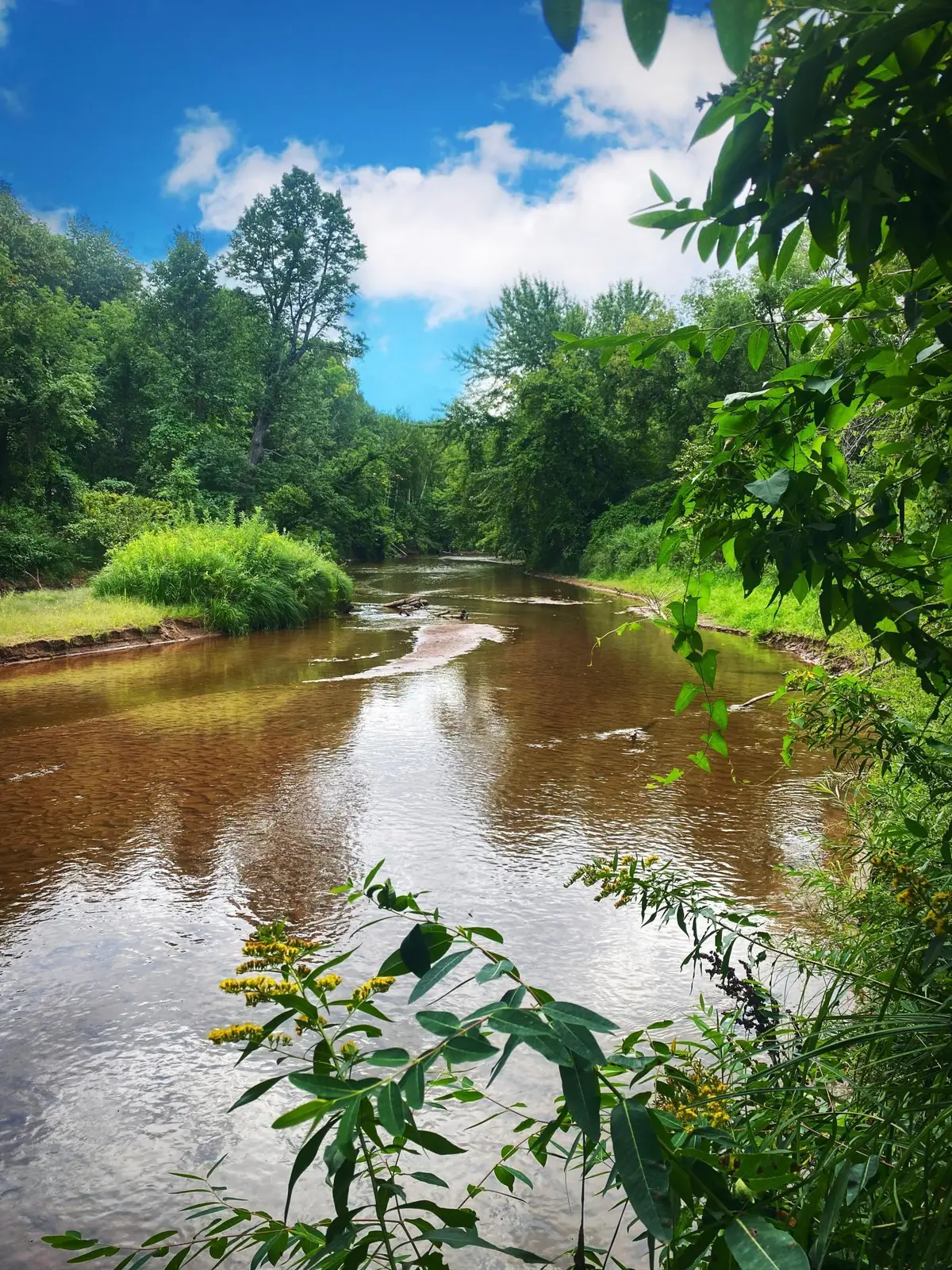 000 Van Ornum Road, Marengo, WI 54855 - Image #1