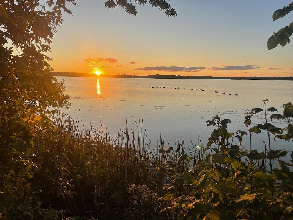 Lot 38 County Highway 1, Otter Tail Twp, MN 56571 BHGRE