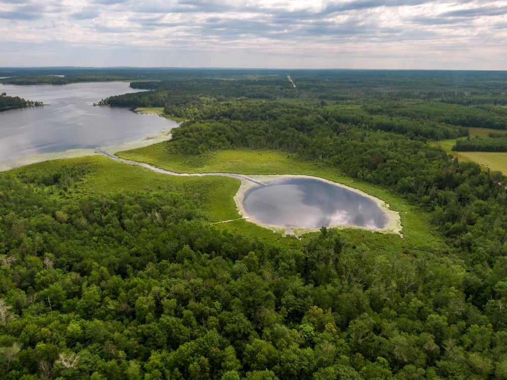 TBD Wabedo Pass Ne, Longville, MN 56655 BHGRE