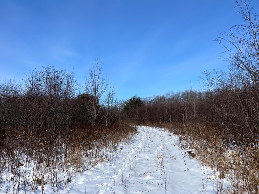 0 Pank Road, Sand Lake Twp, WI 54876 BHGRE