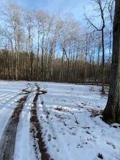 0 Levi Lane, Crosslake, MN 56442 - #2