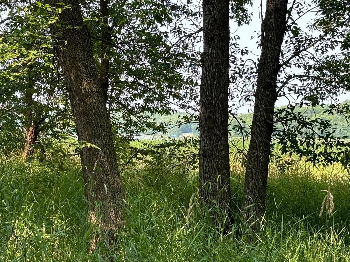 1250 Island Lake Resort Drive, Lengby, MN 56651 - #1