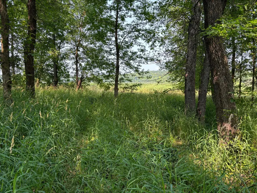 1250 Island Lake Resort Drive, Lengby, MN 56651 - #2