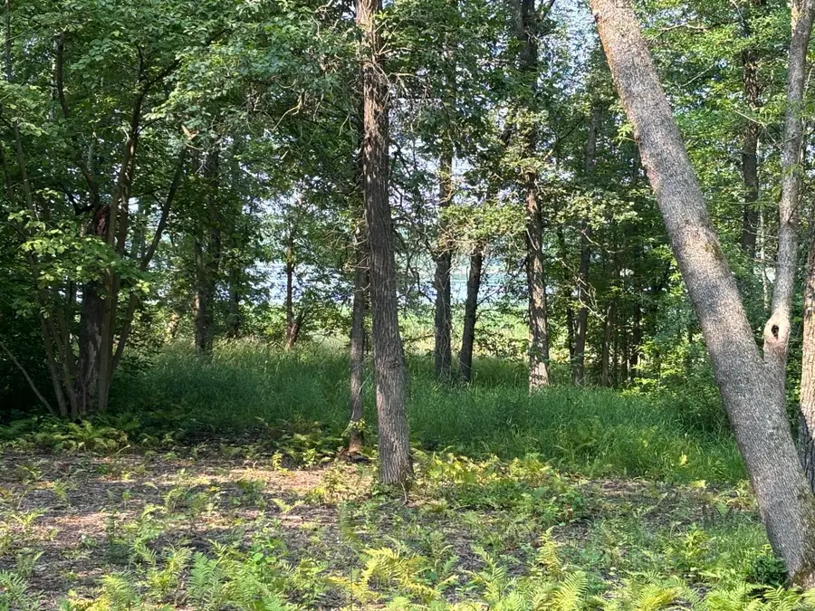 1250 Island Lake Resort Drive, Lengby, MN 56651 - #3