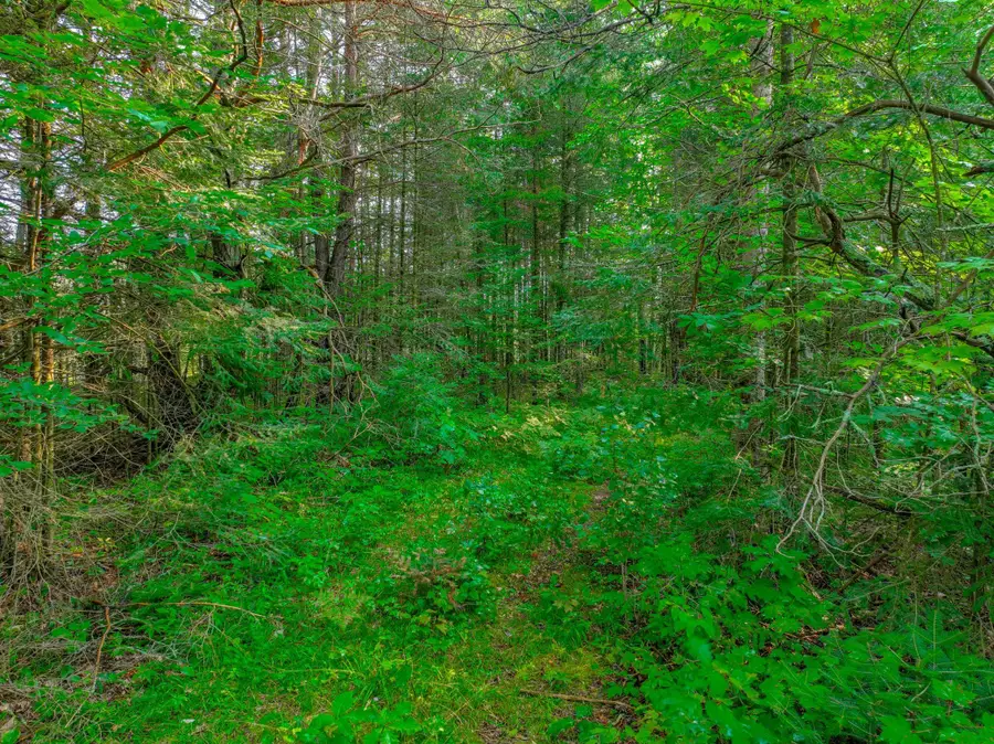 XXXX W Moose Lake Rd, Round Lake, WI 54843 - Image #3