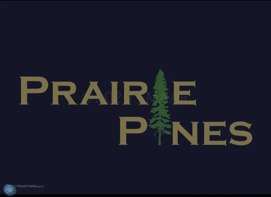 307 Prairie Drive N, Hankinson, ND 58041 - Image #3