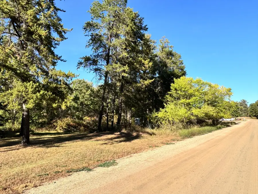 TBD E Blueberry River Dr, Menahga, MN 56464 - #3