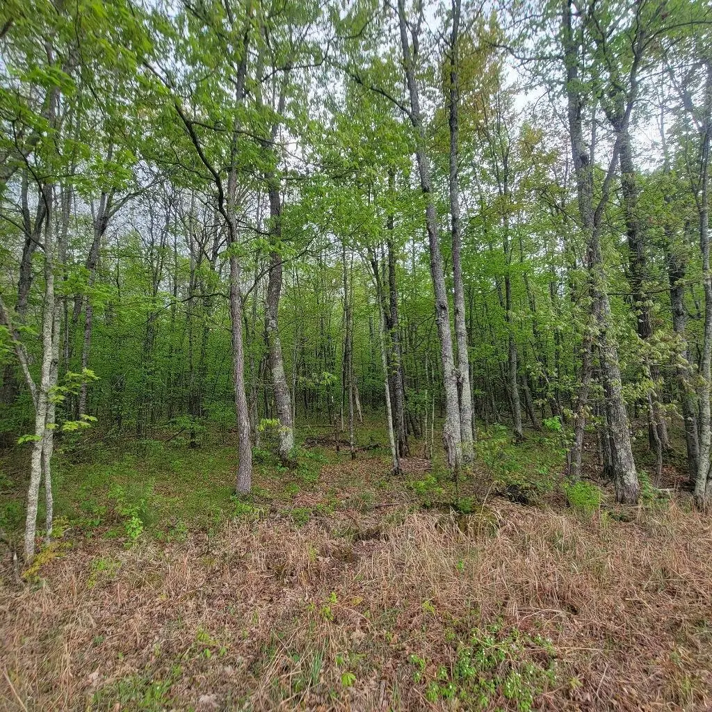 Lot 10 County Road A, Spooner, WI 54801 - #1