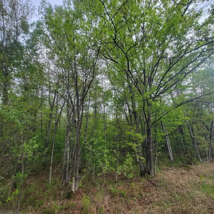 Lot 10 County Road A, Spooner, WI 54801 - #3