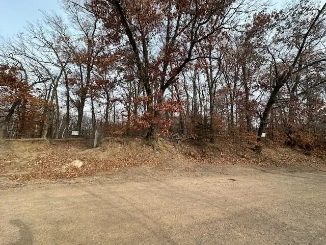 XXXX 273rd Ave Nw, Livonia Township, MN 55330 - Image #2