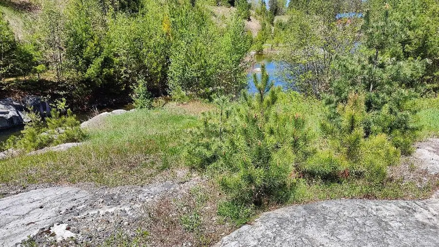 80036 Sweet Fern Loop, Greenwood Township, MN 55790 - Image #3