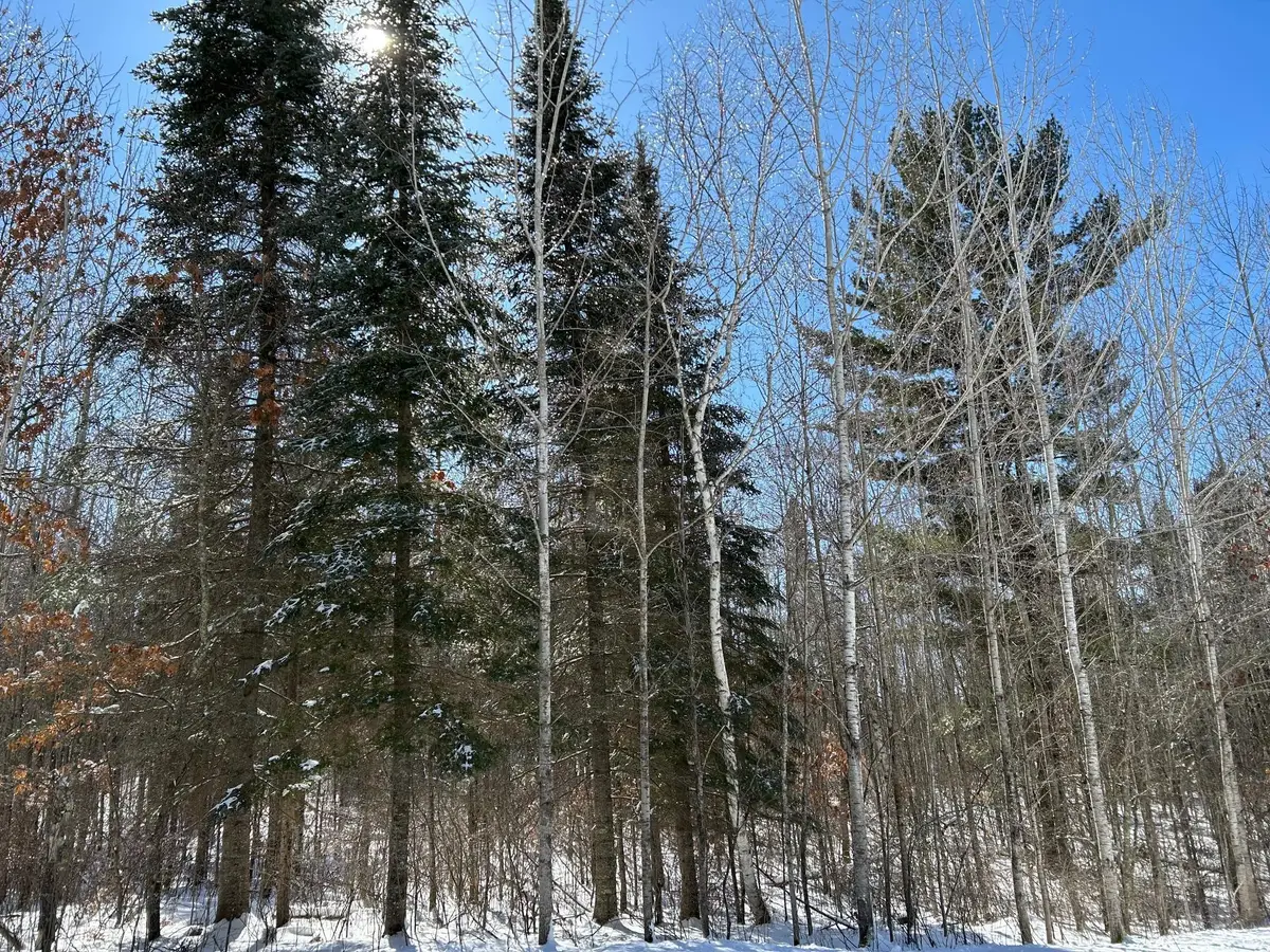 TBD NW 36th Street, Akeley, MN 56433 - Image #1