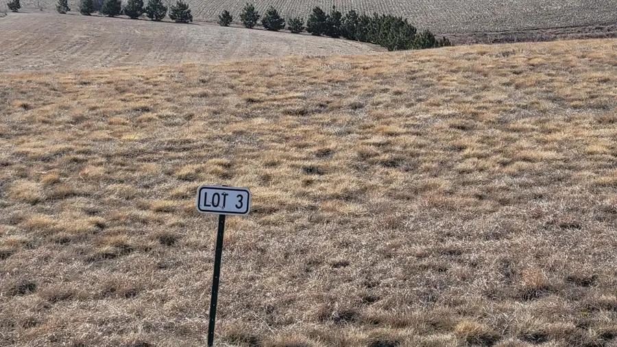 #3