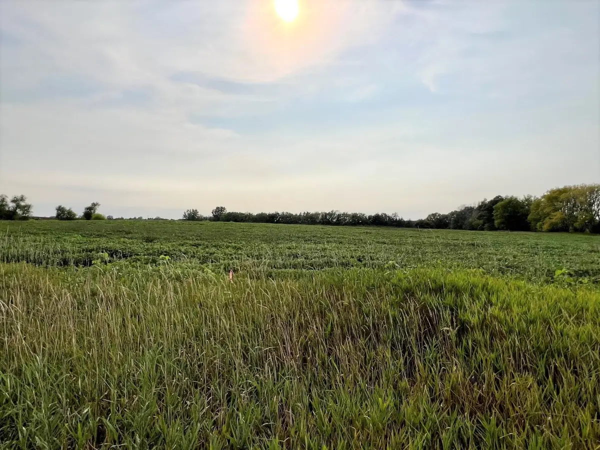 XXXXX Jeffrey Ave N - Parcel B, Hugo, MN 55038 - #1