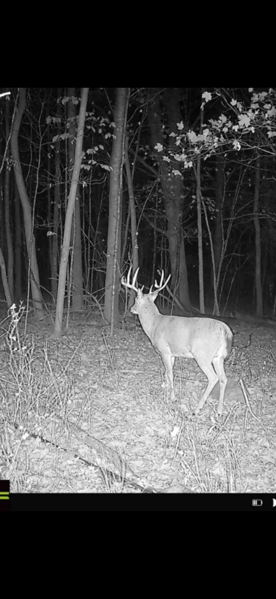 XX1 County Road 3, Holdingford, MN 56340 - Image #2