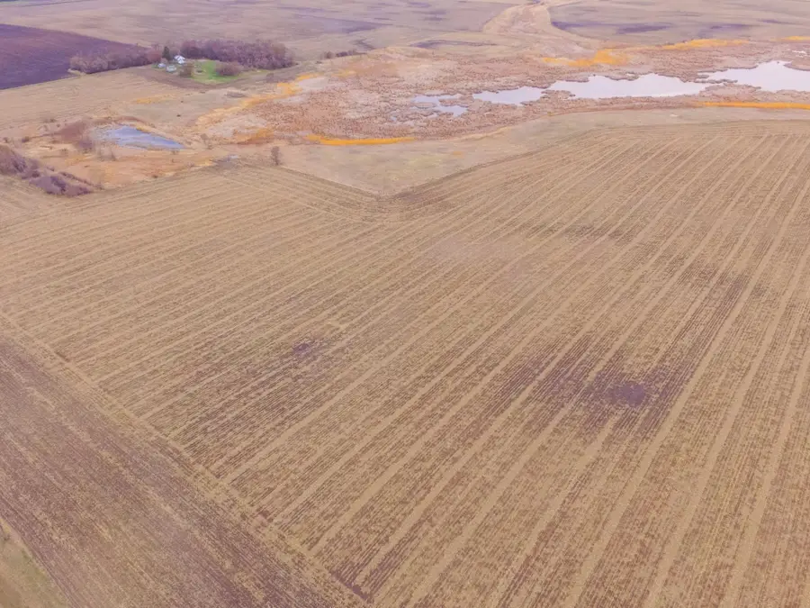 TBD 170th St, Madison, MN 56256 - #2